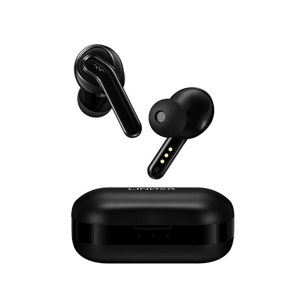 Earphone with Noise Cancellation