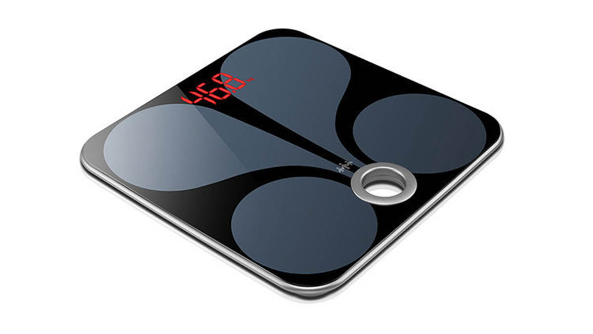 What Can Smart Body Weight Scale Measure?