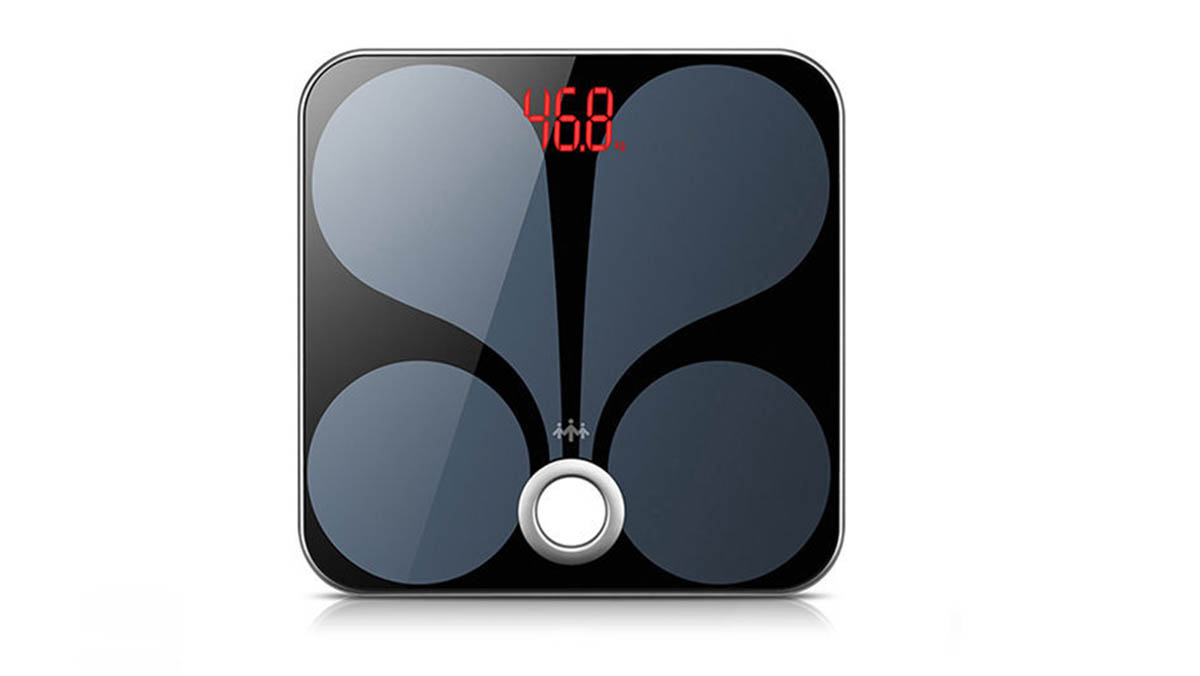 The Advantages of a Professional Body Fat Scale