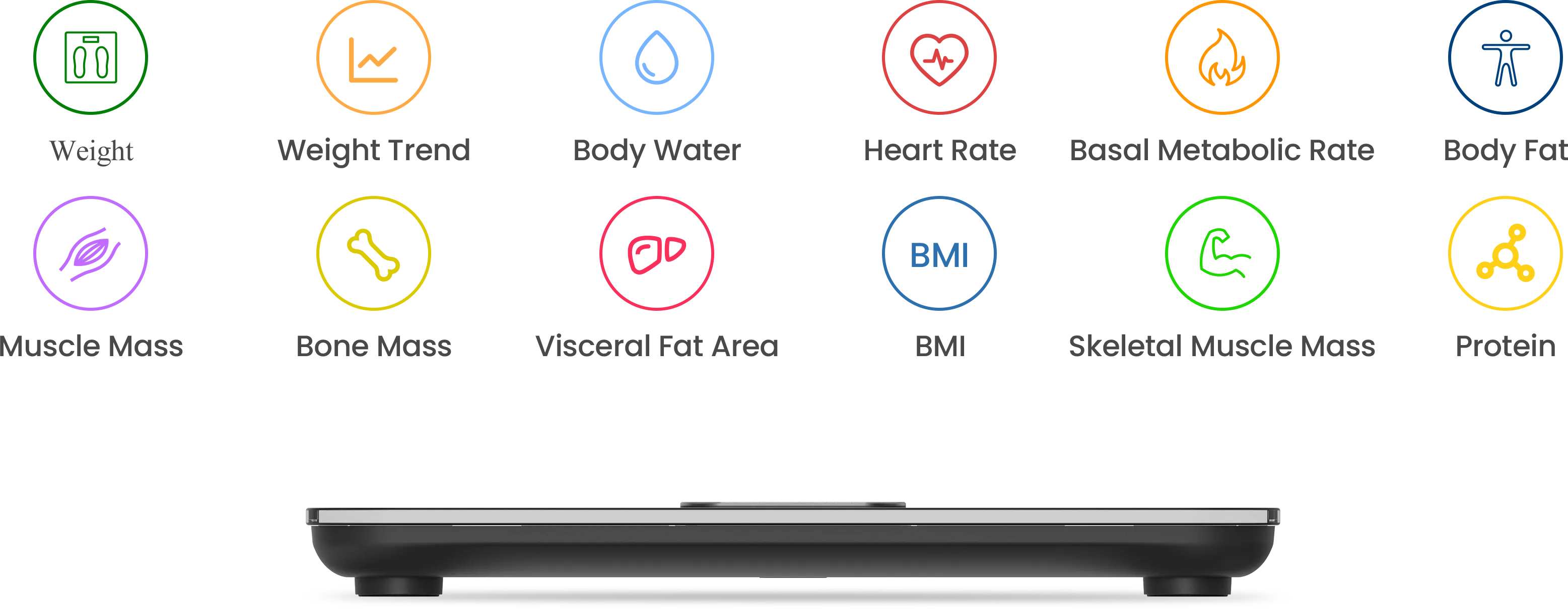 Key Body Metrics at a Glance