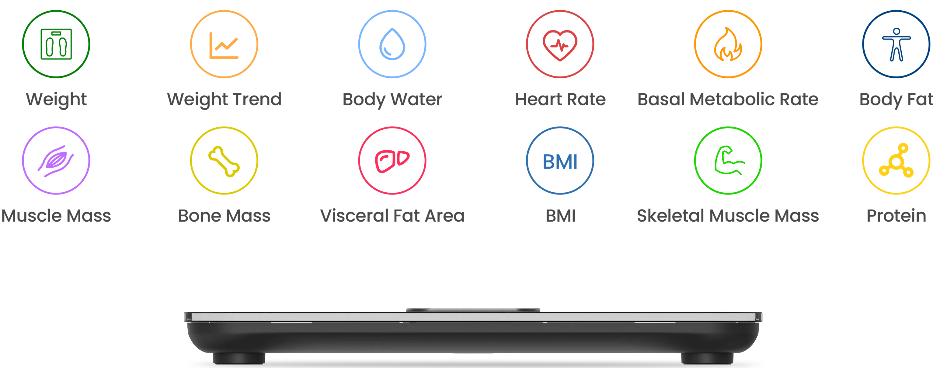 Key Body Metrics at a Glance